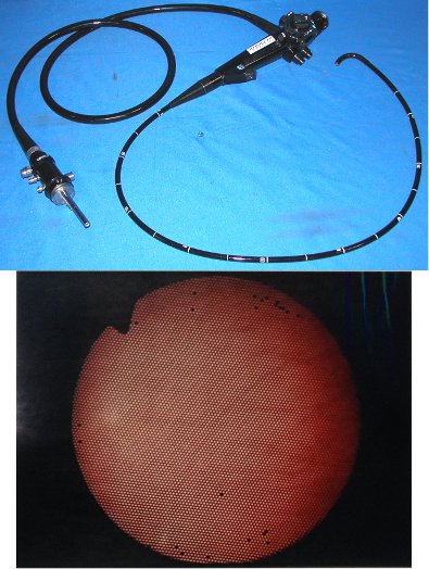 Olympus GIFXP-10 Pediatric Gastroscope