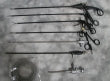 Basic Veterinary Instrument Set