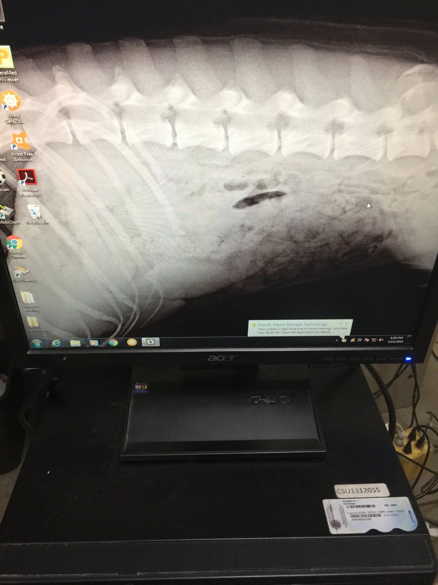 Veterinary X-Ray High Frequency With QXLINK- DIGITAL DETECTOR