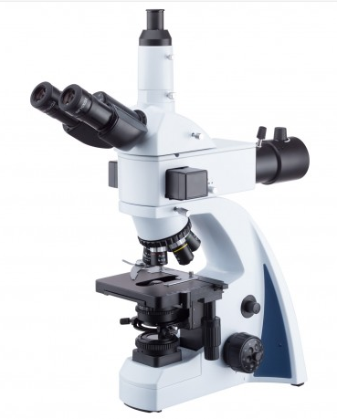 WE LED Fluorescence Microscope