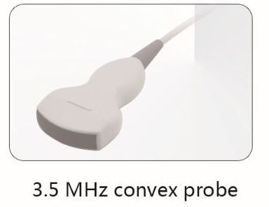 Whittemore 3.5 MHz Convex Ultrasound Probe