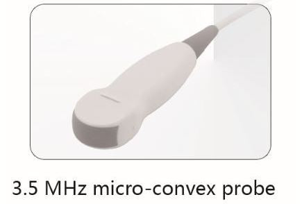 Whittemore 3.5 MHz Micro-Convex Ultrasound Probe