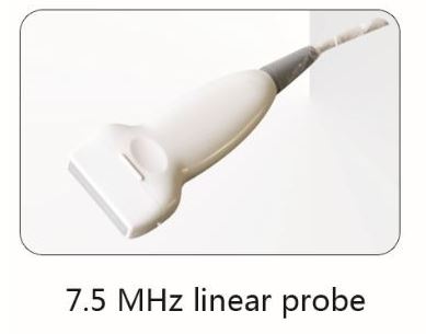 Whittemore 7.5 MHz Linear Ultrasound Probe