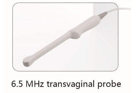 Whittemore 6.5 MHz Transvaginal Ultrasound Probe