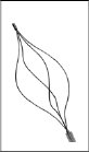 New 2.3mm X 2350mm Retrieval Wire Basket