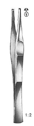 Lane Dissecting Forceps, 5.75in -14cm-,