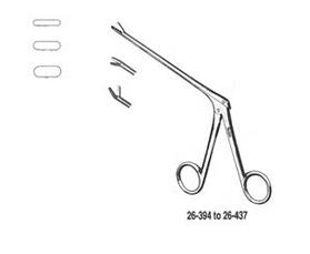 Spurling Pituitary Rongeur (New), 7in (17.8cm) Shaft Length, Straight, 4mm x 10mm Cup Jaws