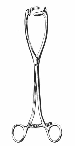 Collin -buxton- Uterine Forceps, 10.5in