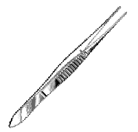 Dressing Forceps, 8in, Serrated Tips