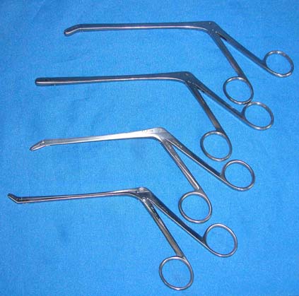 Rongeurs, Pituitary