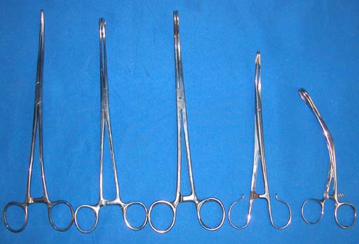 Sponge Forceps