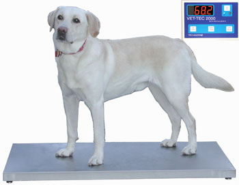 Technidyne Vet Tech 2000
