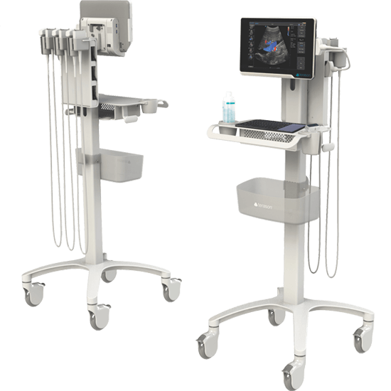 TERASON uSMART 3200T PLUS PORTABLE ULTRASOUND LINEAR & MICRO CURVED PROBES