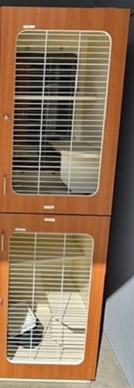 Midmark Raintree Cat Condo, Single Unit