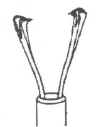 New 1.8mm X 175cm Forked Jaws