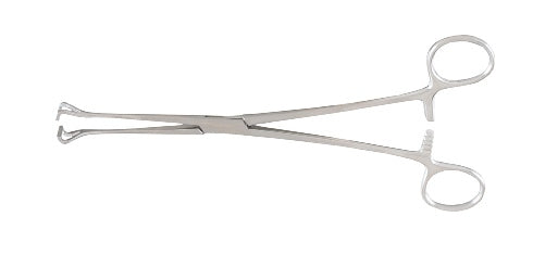Babcock Tissue Holding Forceps (New), 8.25in