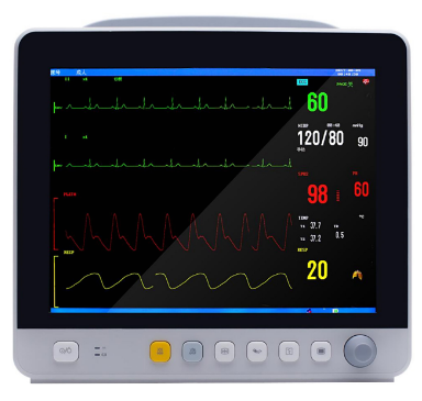 (New) WE Veterinary Patient Monitor with CO2